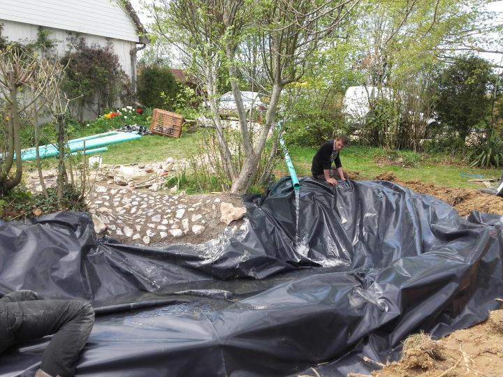 Création d'étangs L'Aigle